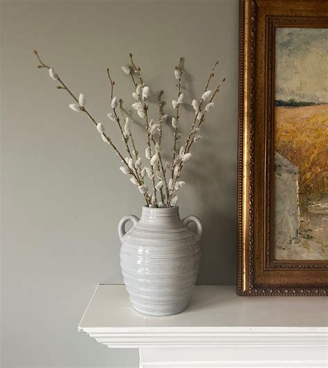 Frosted Pussy Willow Stems – Jasmine and Lily