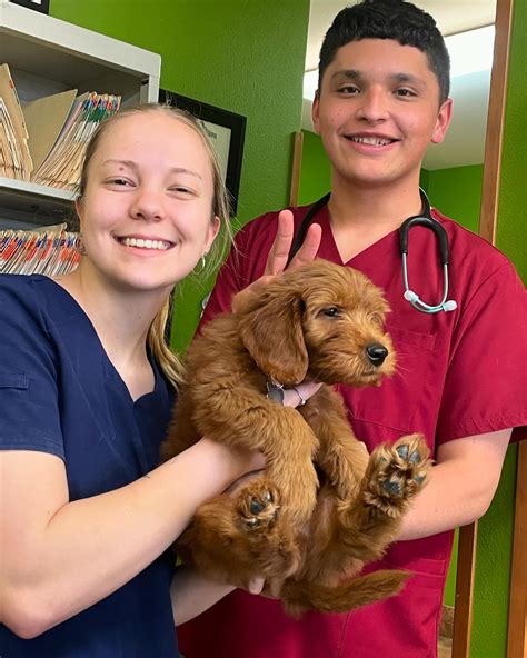 Mill Creek Veterinary Hospital (@millcreekvethospital) • Instagram ...