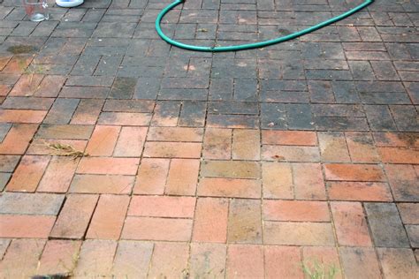 Clean Weeds, Mold, and Mildew Off Neglected Brick Patio