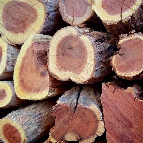 BEST Firewood Cape Town | FREE Delivery Available
