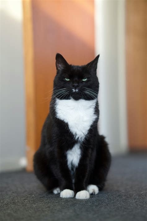 Asian+Leg+Spread Photos, Download The BEST Free Asian+Leg+Spread Stock Photos & HD Images