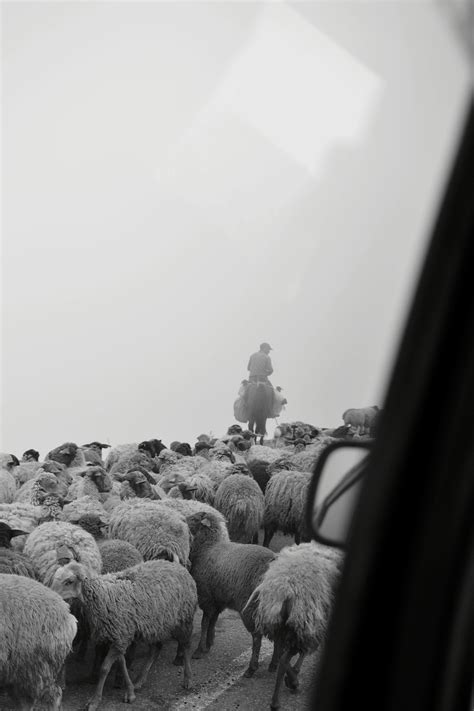 Mom+Big+Boobs Photos, Download The BEST Free Mom+Big+Boobs Stock Photos ...