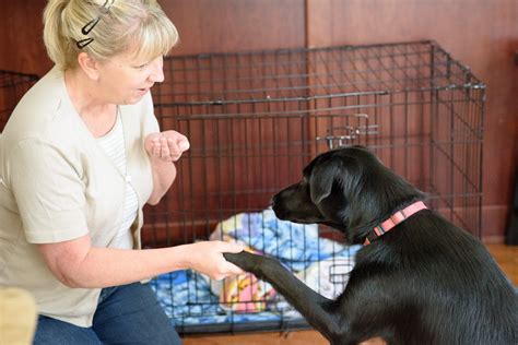 Unto Him We Live: After Tying the Knot