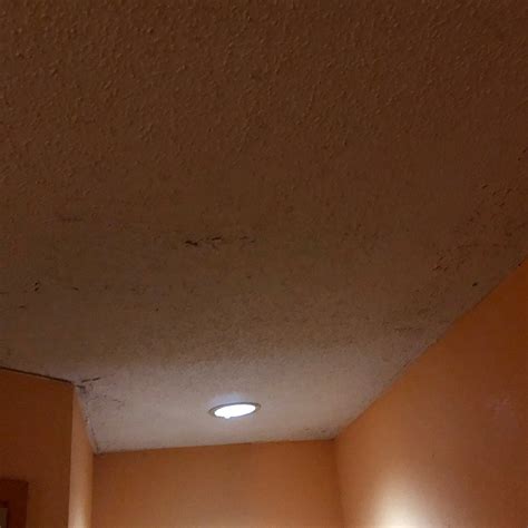 QUALITY INN (Albany) - Hotel Reviews, Photos, Rate Comparison - Tripadvisor