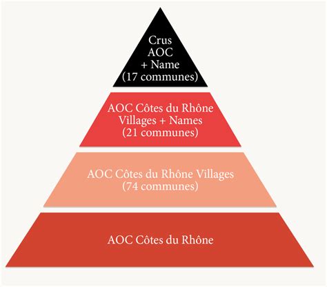 The Wine - Discover Cotes Du Rhone