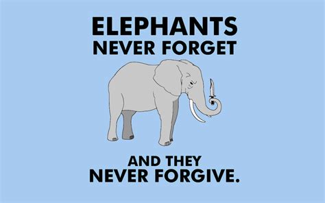 I love elephants =) | Elephants never forget, Elephant, Elephant facts