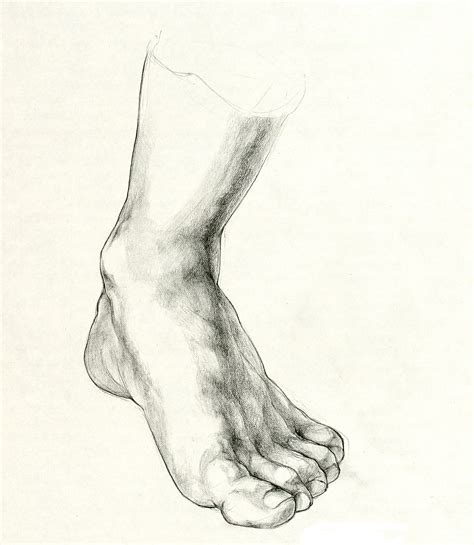 Foot Drawing at GetDrawings | Free download