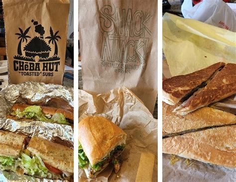 C.B. & Potts Shark Returning Home to Fort Collins