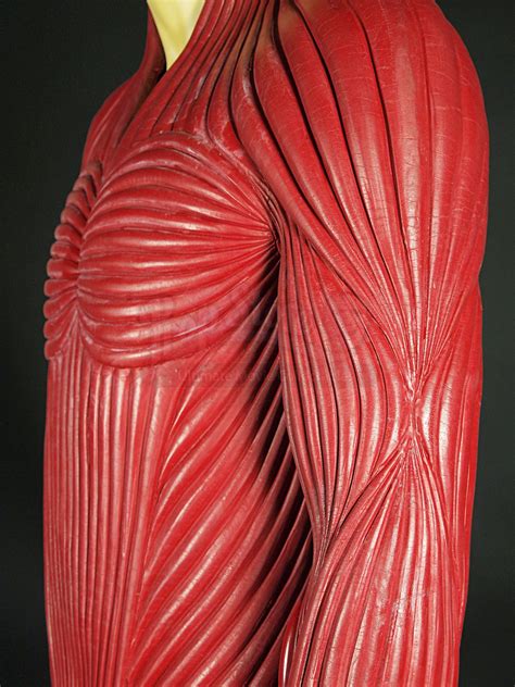 Photos the work of late costume designer eiko ishioka – Artofit