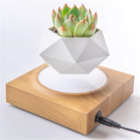 Amazon.com: MAGECMOON HCNT Levitation Air Bonsai Pot, Magnetic ...