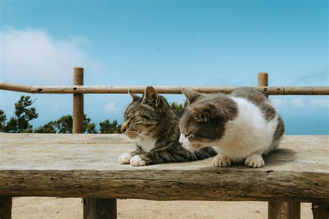 Slow+Penetration+Gif Photos, Download The BEST Free Slow+Penetration+Gif Stock Photos & HD Images