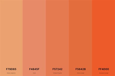 25 best sunset color palettes with names and hex codes – Artofit