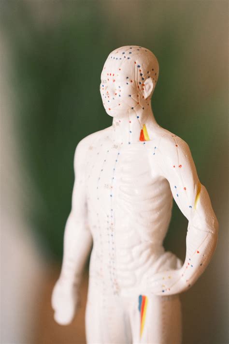 DR. O'NEILL — ElementalMed