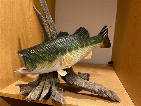 Largemouth Black Bass