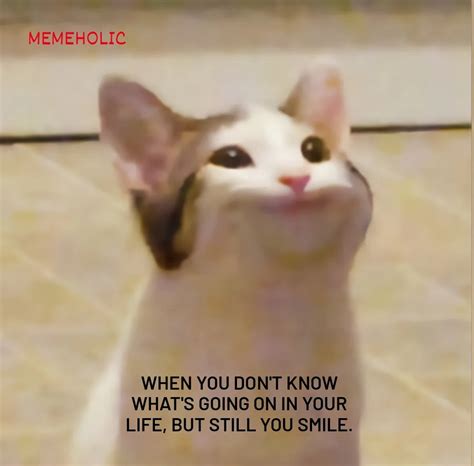 The best Fuckedup memes :) Memedroid