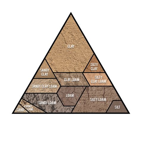 Properties Of Clay Sandy And Loamy Soil at Darlene Oxley blog