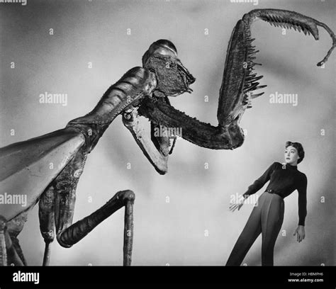 THE DEADLY MANTIS, Alix Talton, 1957 Stock Photo - Alamy