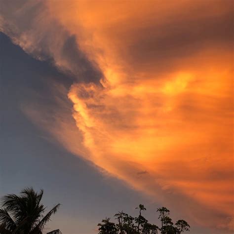 Saharan dust plume could impact Florida sunsets. How can it affect our ...