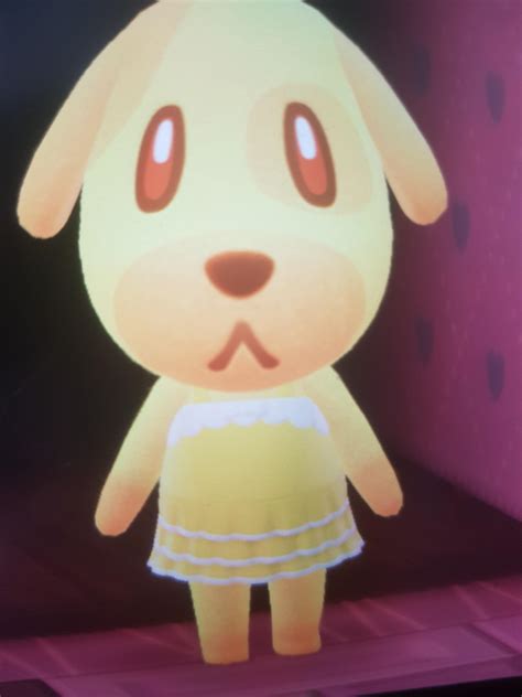 Goldie Animal Crossing