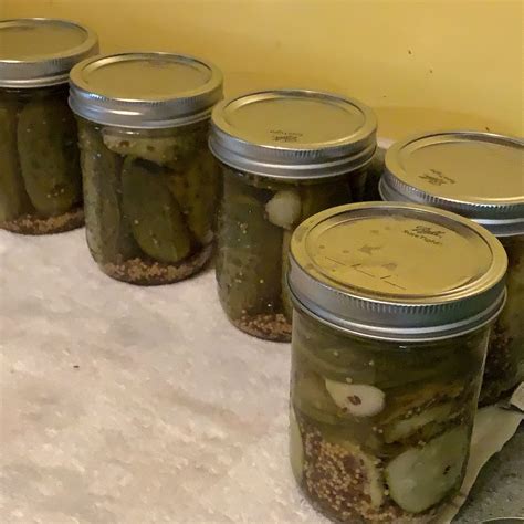 Crunchy Canned Pickles Recipe