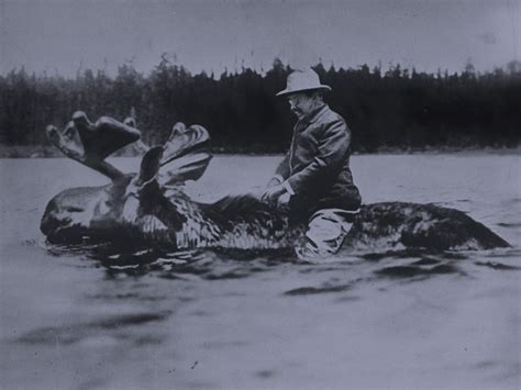 Teddy Roosevelt on a Moose: Fake News, or Fake Fake News? | WIRED