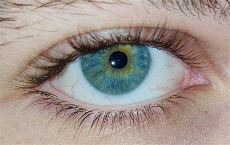 I love how everyone's eyes have unique patterns within them, kind of ...