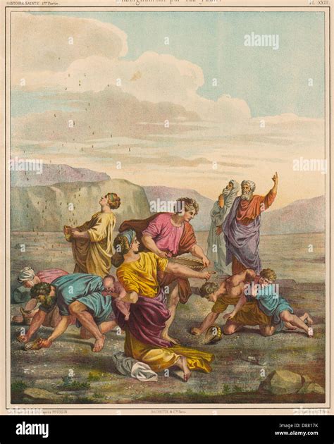 Manna from heaven hi-res stock photography and images - Alamy