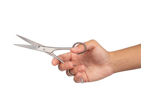 Job of the Day: Hairstylist, Barber (Meliorist Inc DBA Great Clips ...