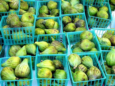 Guide to Common Varieties and Types of Figs