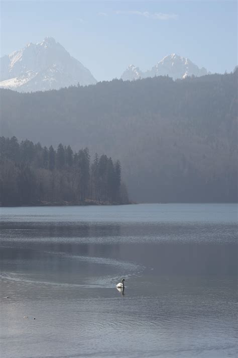 Chubby Male Nude Poses and Lighting : r/AskPhotography