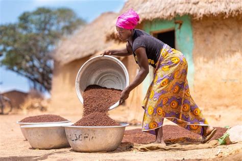 Kwaku Nyarko on LinkedIn: #breakthebias #fotoaccent #documentary # ...