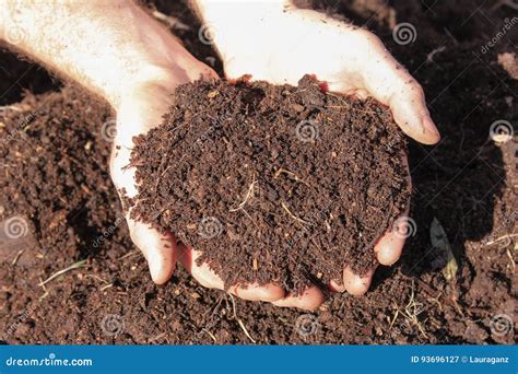 Horse Manure Compost stock image. Image of springtime - 93696127