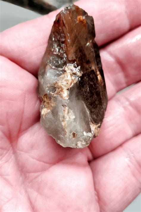 Any id on these? Found in CO : r/whatsthisrock