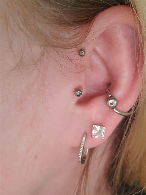 Piercer told me to use tea tree oil on piercing bumps : r/Legitpiercing