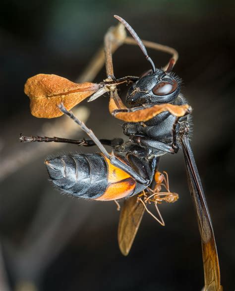 Big Tits Moms Photos, Download The BEST Free Big Tits Moms Stock Photos ...