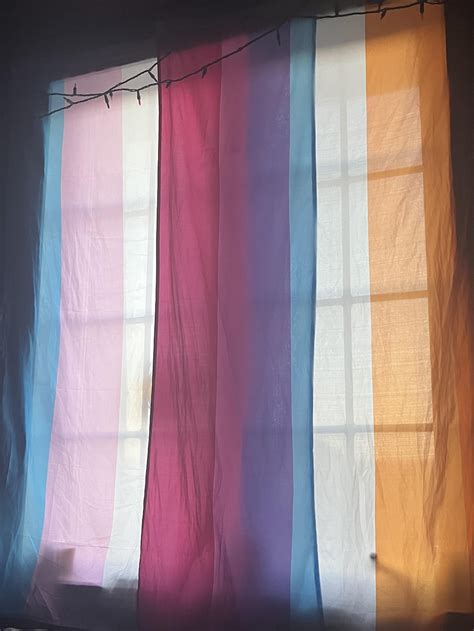 my husbands trans and lesbian flag make a bi flag : r/mildlyinteresting