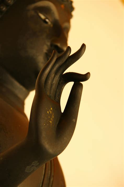 Men+With+Erections+Close+Up Photos, Download The BEST Free Men+With ...