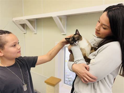 Upper Valley Humane Society Weekly Adoptions Upper Valley Humane Society