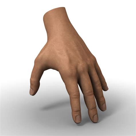 Hand 3d Models 3D Models download - Free3D