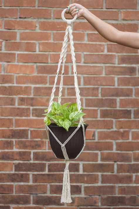 Plant Hanger Espiral – Nodo GT