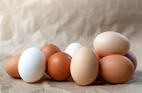 Does Eggs have Carbs? - Ethical Inc