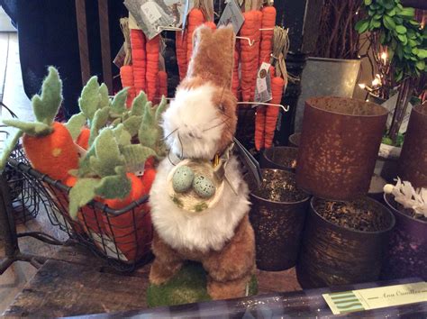 Can Rabbits Have Carrots