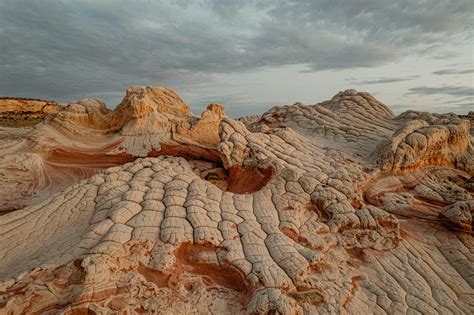 Vermilion Cliffs National Monument Tours