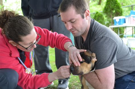 Animal Protective Foundation | Pet Adoption & Animal Shelter