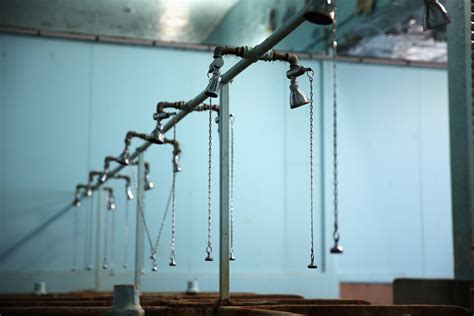 Popular OnlyFans Star Reveals She Only Showered 37 Times In 2022 | IBTimes