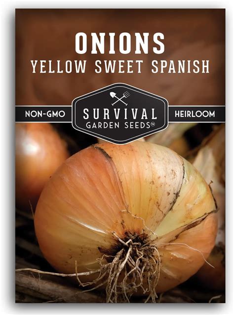 Amazon.com : Yellow Sweet Spanish Onion Seed for Planting - 1 Packet ...