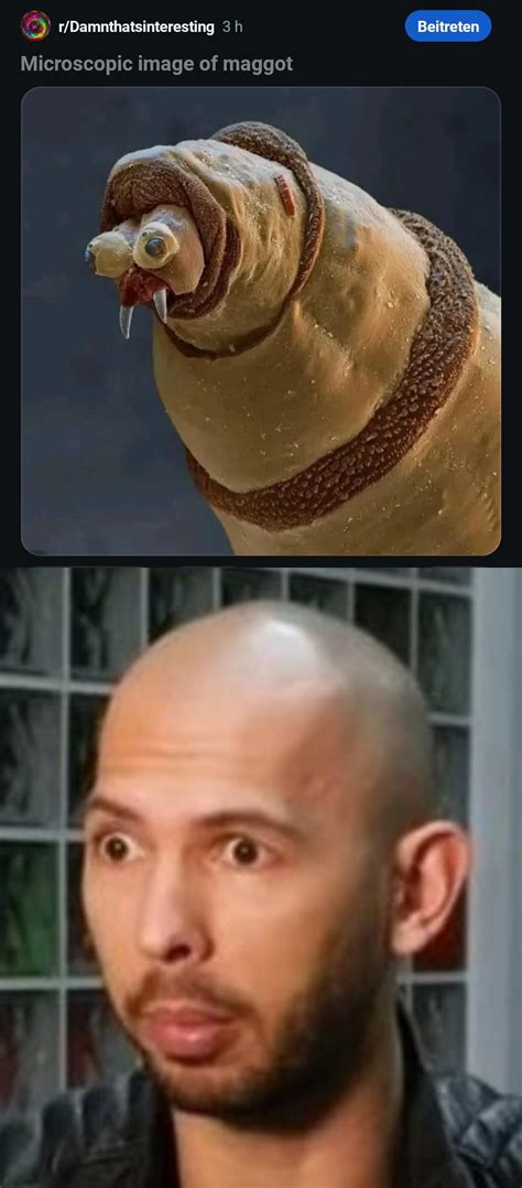 The resemblance is uncanny : r/memes