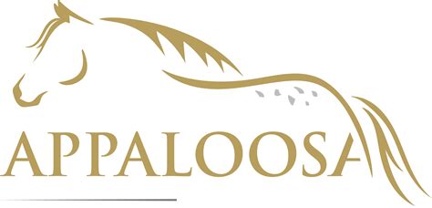 AAA – Our Amateurs | Australian Appaloosa Association