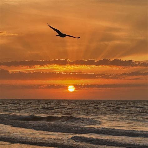 Michelle Best | “Pants don’t work on you!” #snl #snl50 I am SNL years old, and it was always a ...