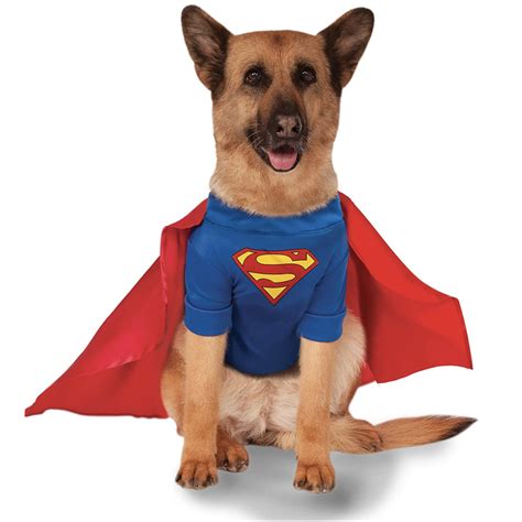20+ Cute Halloween Costumes for Extra Large Dogs (up to 3XL!) - Hey ...